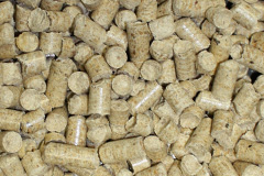 Milo biomass boiler costs